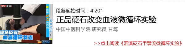 泗濱砭石甲襞流微循環(huán)實驗